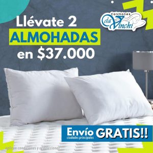 pack 2 almohadas davinchi promocion